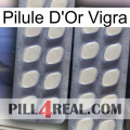 Vigra Gold Pill 07